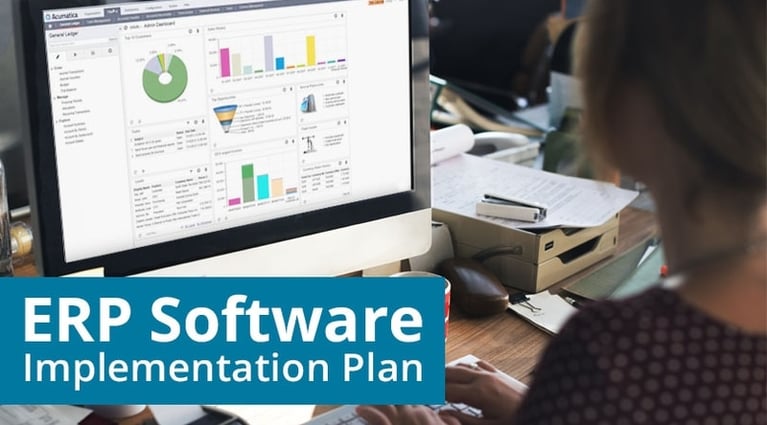 ERP-Software-Implementation-Plan-p-800