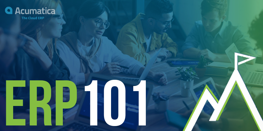 ERP 101 image showing a business team collaborating, with bold ERP 101 text and a mountain icon representing ERP system scalability.